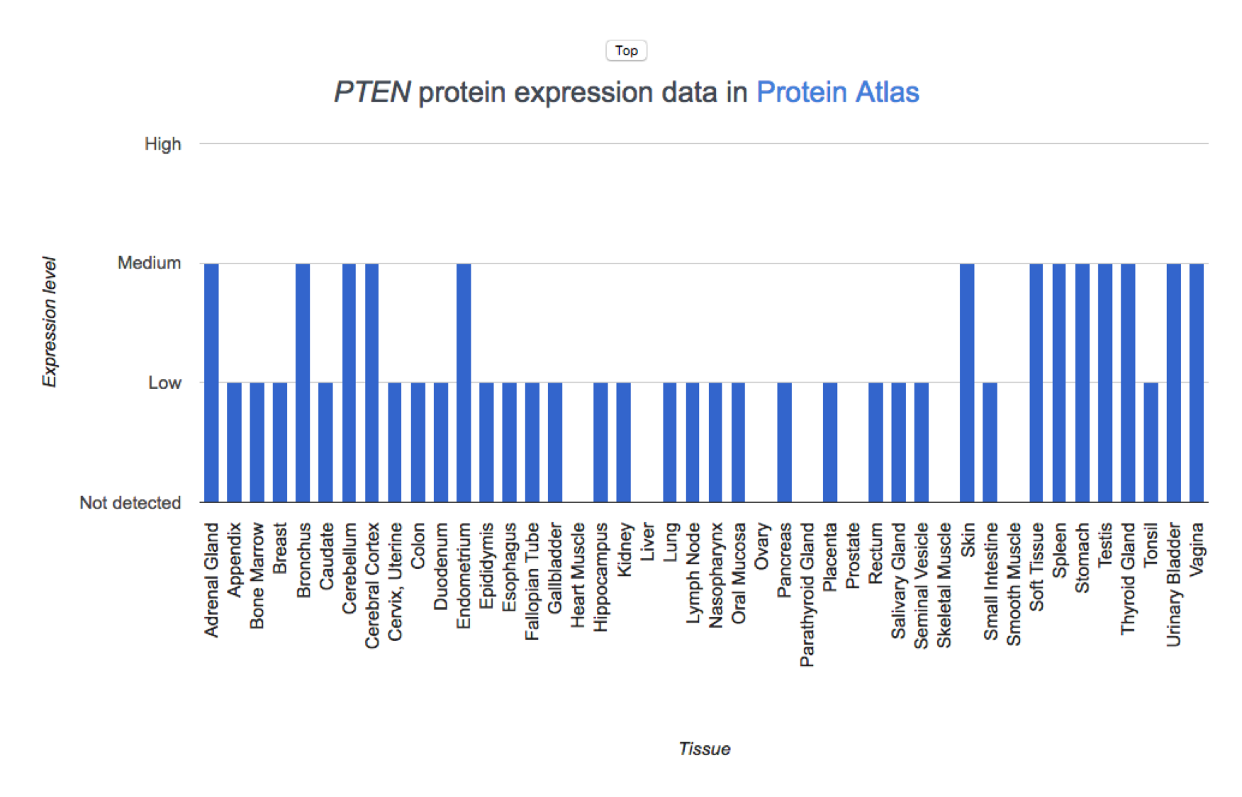 Expression ProteinAtlas