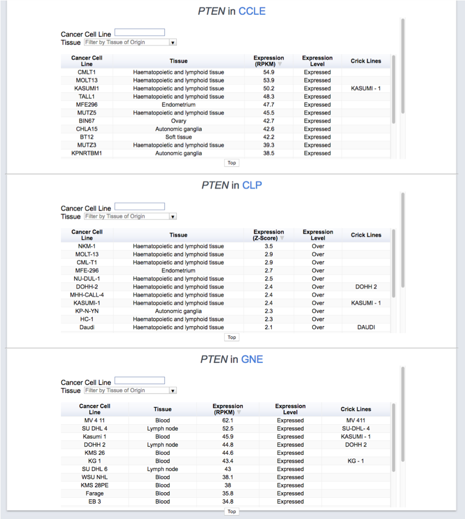 Expression Cancer Cell Lines